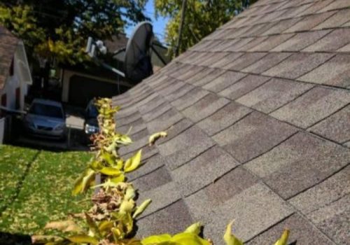Signs Your Gutters Are Clogged and Causing Damage - blog