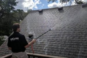 Why Training Matters in Exterior Cleaning Services-blog